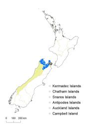 Veronica subfulvida distribution map based on databased records at AK, CHR & WELT.
 Image: K.Boardman © Landcare Research 2022 CC-BY 4.0